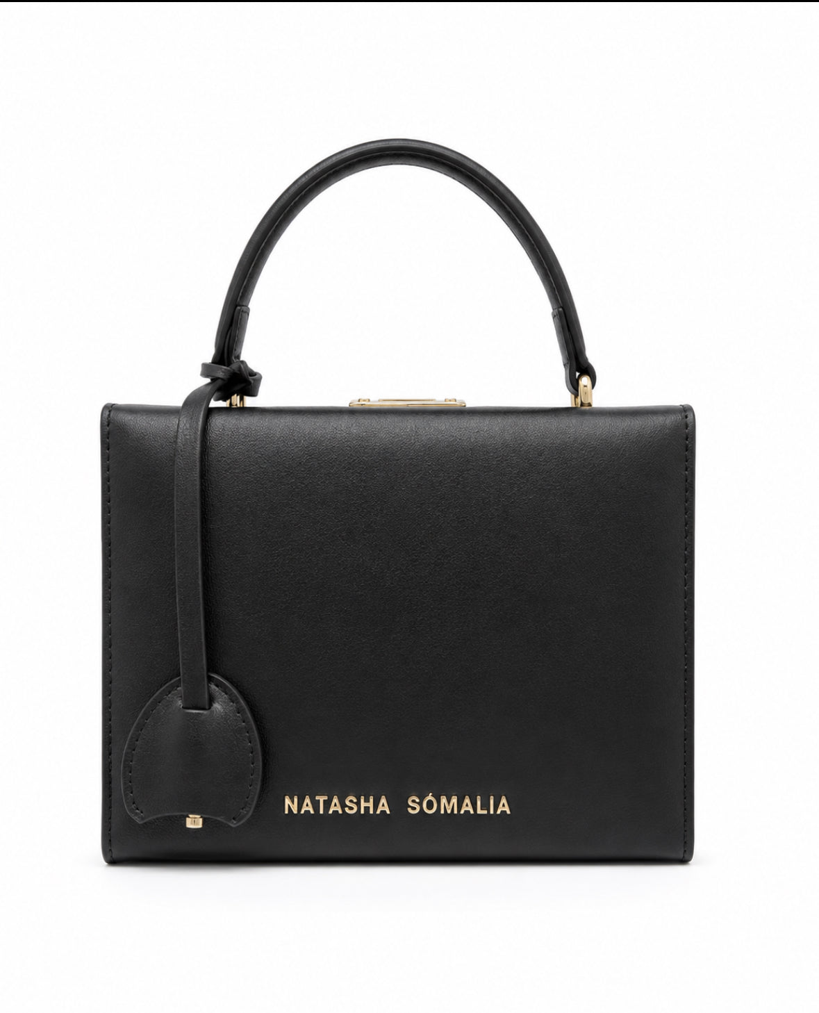 Rasheedah Trunk Handbags